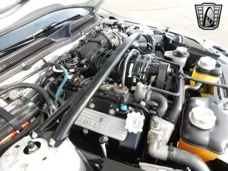 Mustang 23