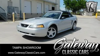 Mustang 1