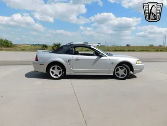 Mustang 3