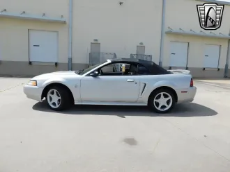Mustang 5