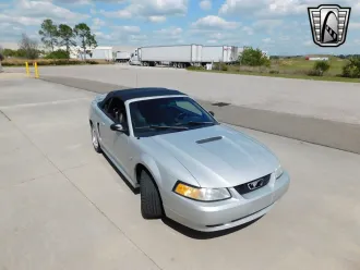 Mustang 6