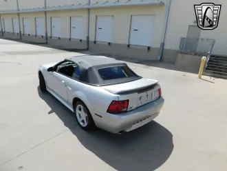 Mustang 8