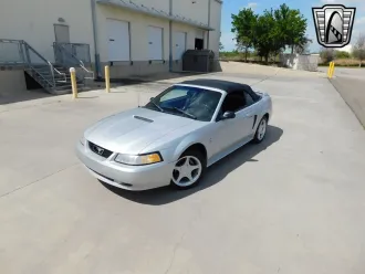 Mustang 10