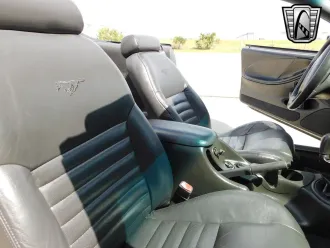 Mustang 15