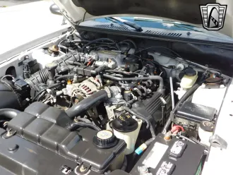 Mustang 18