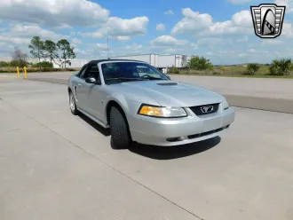Mustang 24