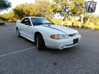 Mustang 6