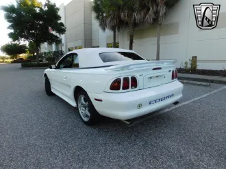 Mustang 8