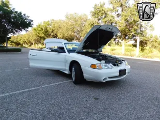 Mustang 23