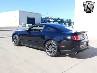 Mustang 3