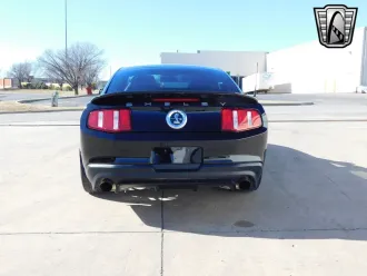 Mustang 4