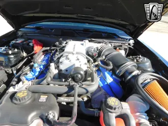 Mustang 25