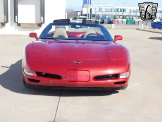 Corvette 5