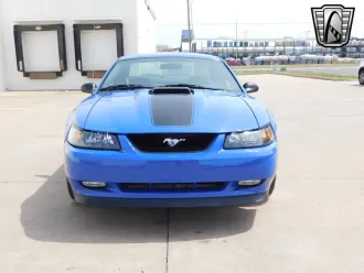 Mustang 5