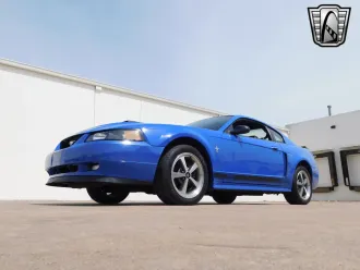 Mustang 6
