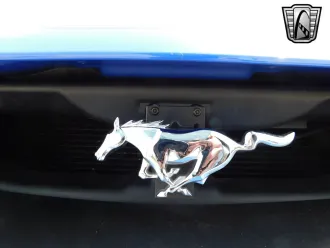 Mustang 8