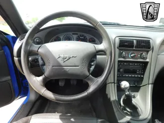 Mustang 17