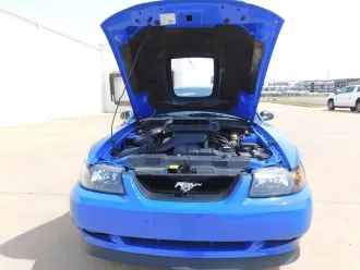 Mustang 25