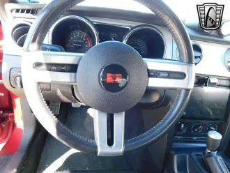 Mustang 17