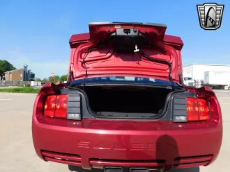 Mustang 21