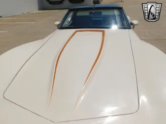 Corvette 11
