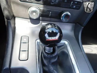 Mustang 21