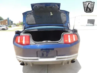 Mustang 25