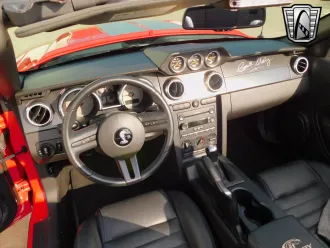 Mustang 19