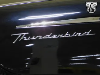 Thunderbird 12