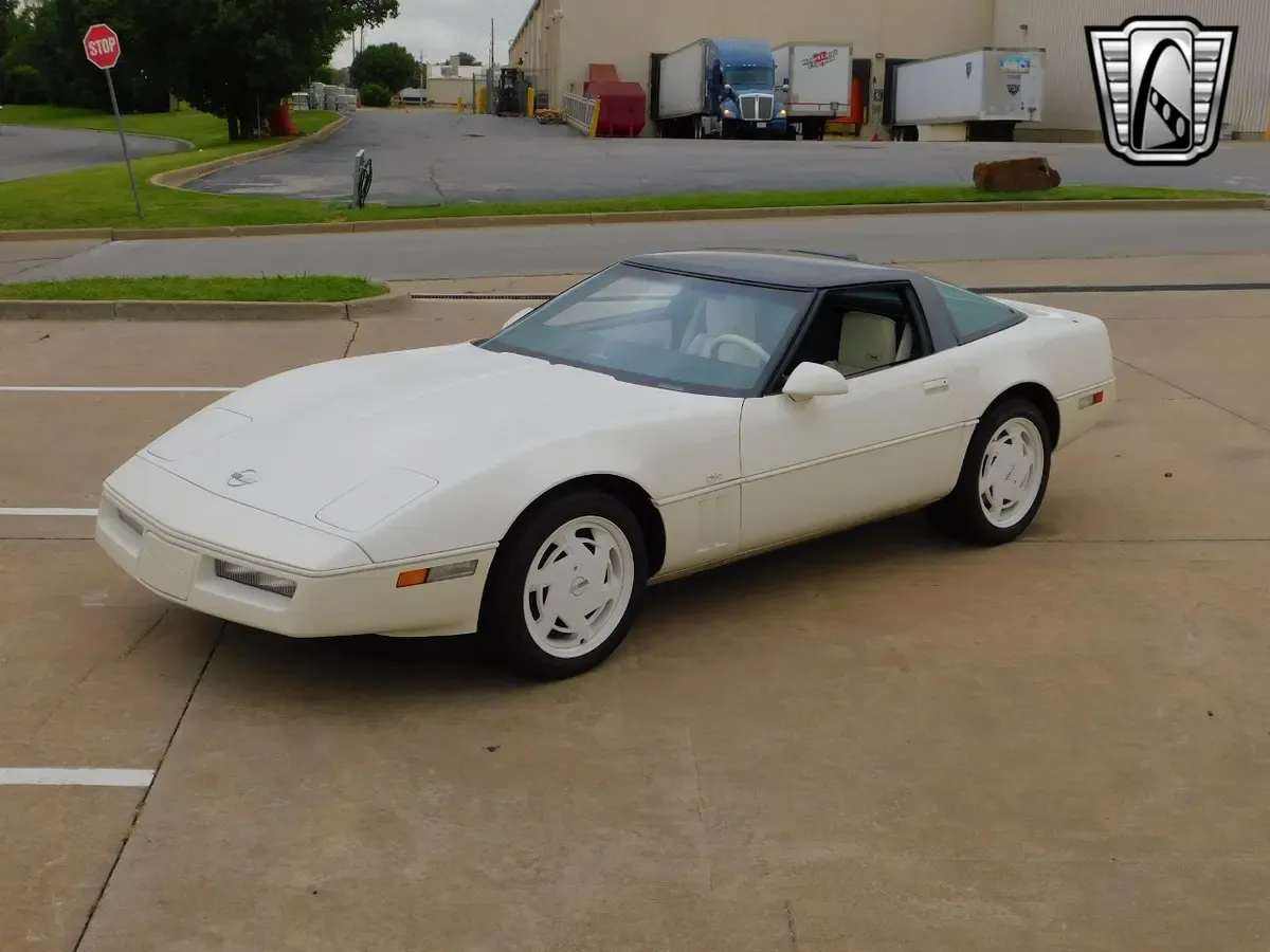 Carousel Image 3