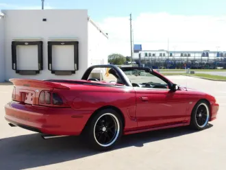 Mustang 7