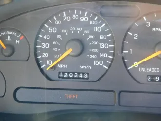 Mustang 16