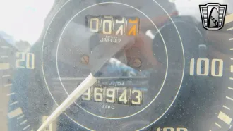  26