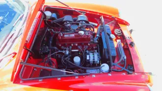  16