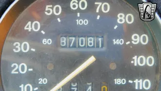  20