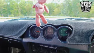  24