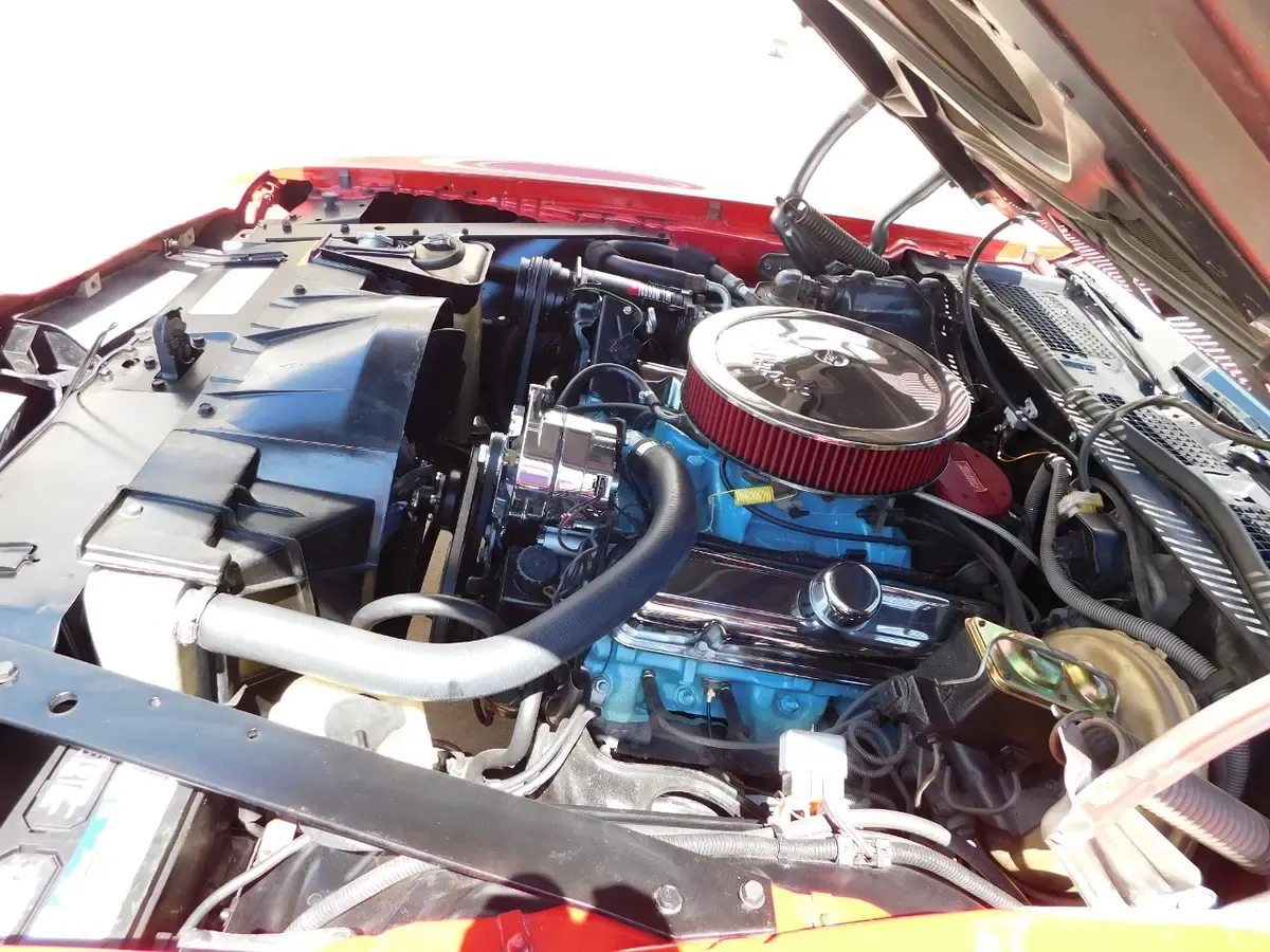 Carousel Image 17