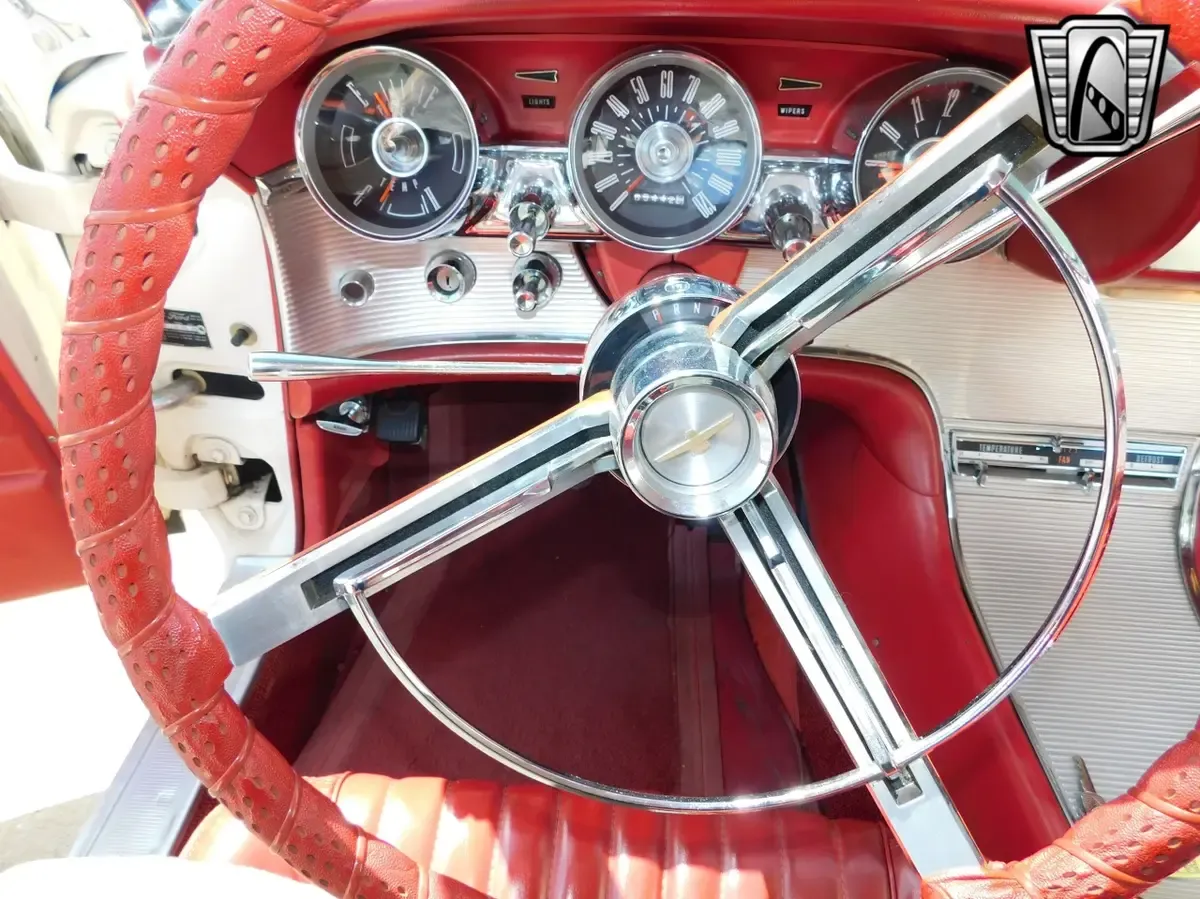 Carousel Image 13