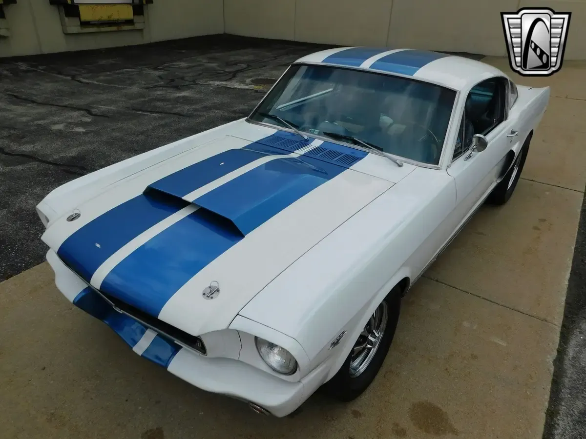 Carousel Image 3