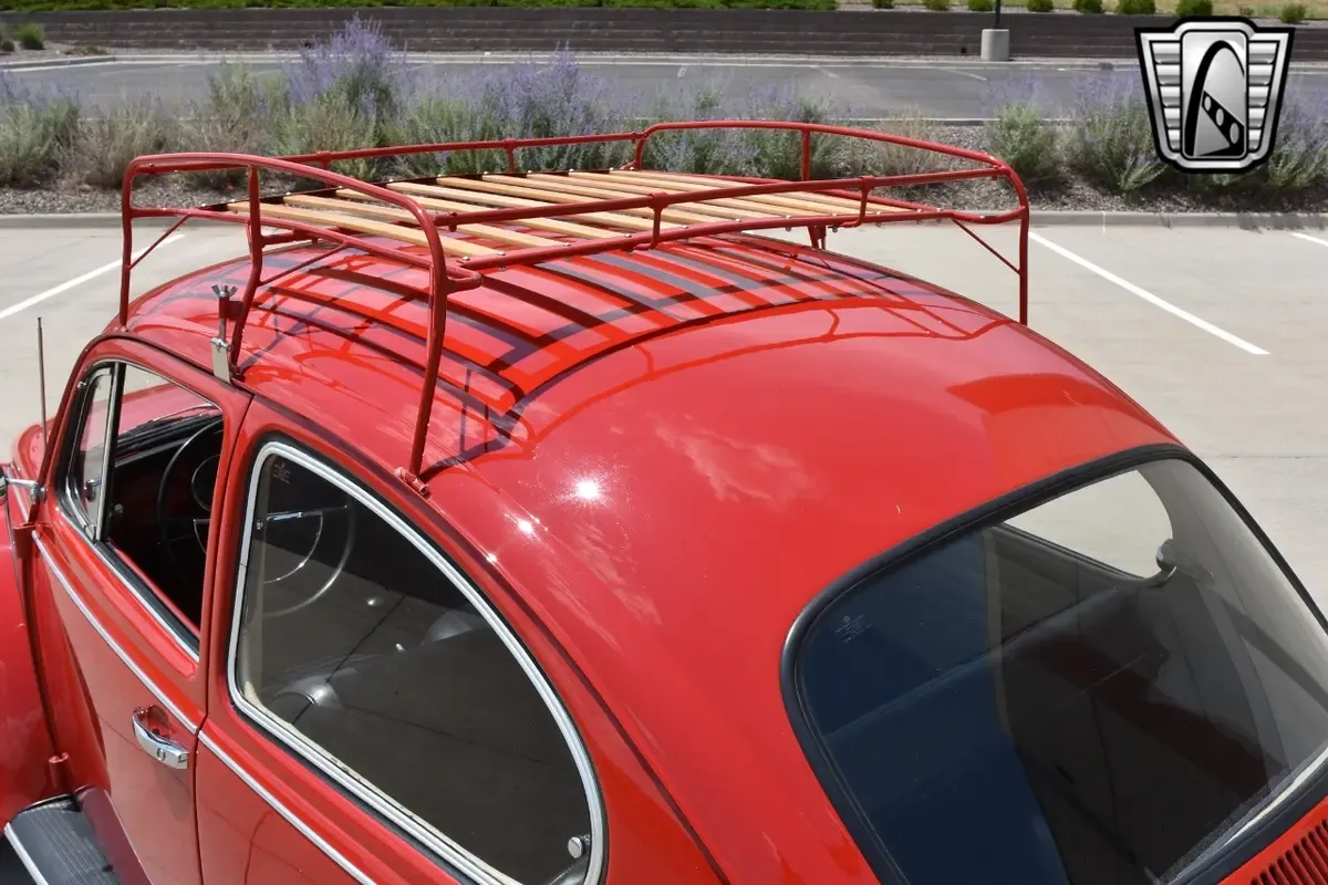 Carousel Image 11
