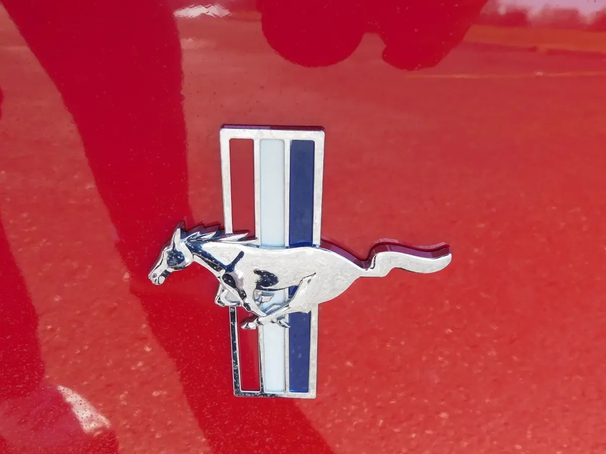 Carousel Image 9