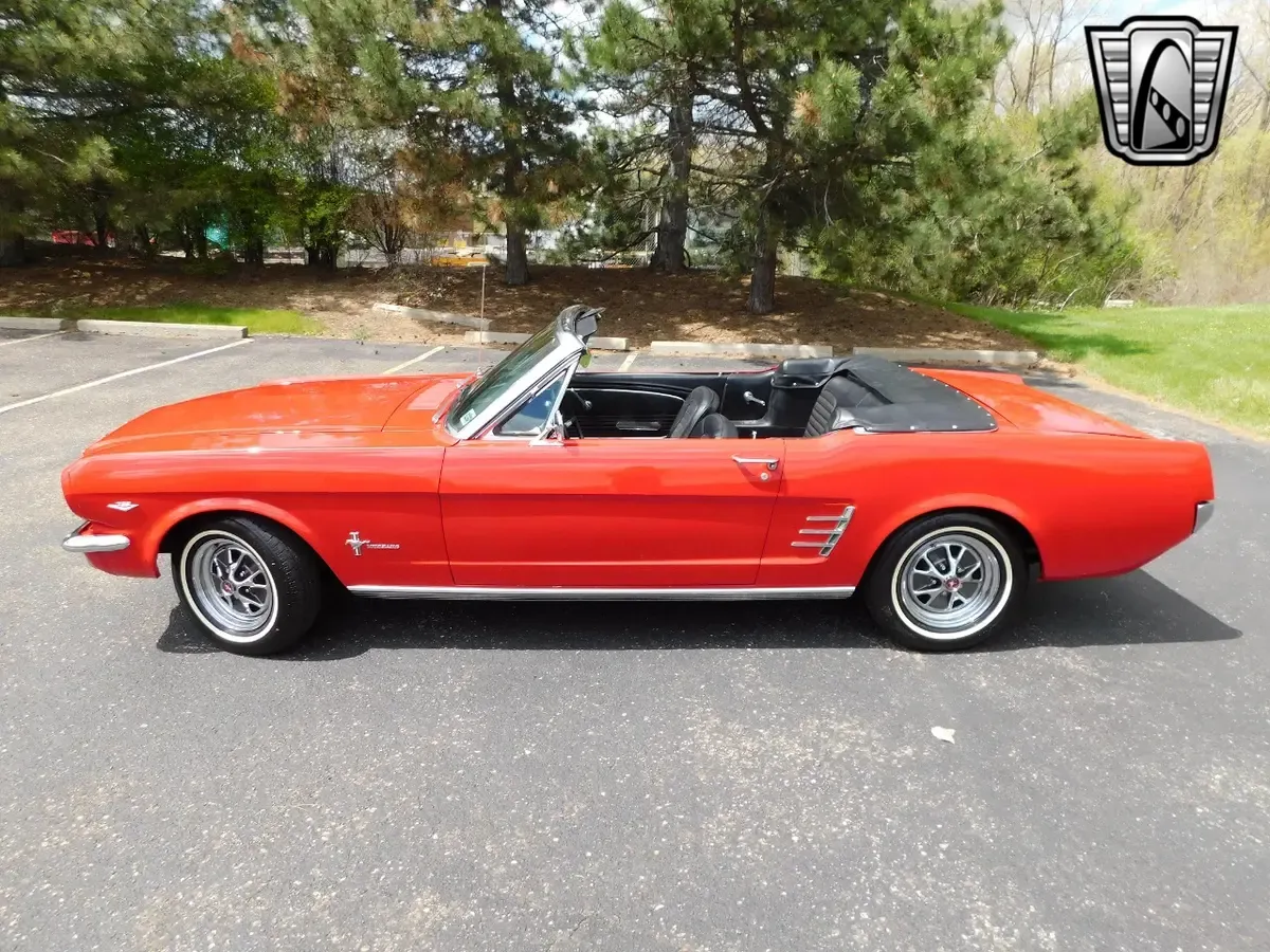 Carousel Image 2