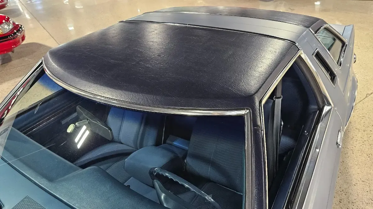 Carousel Image 13