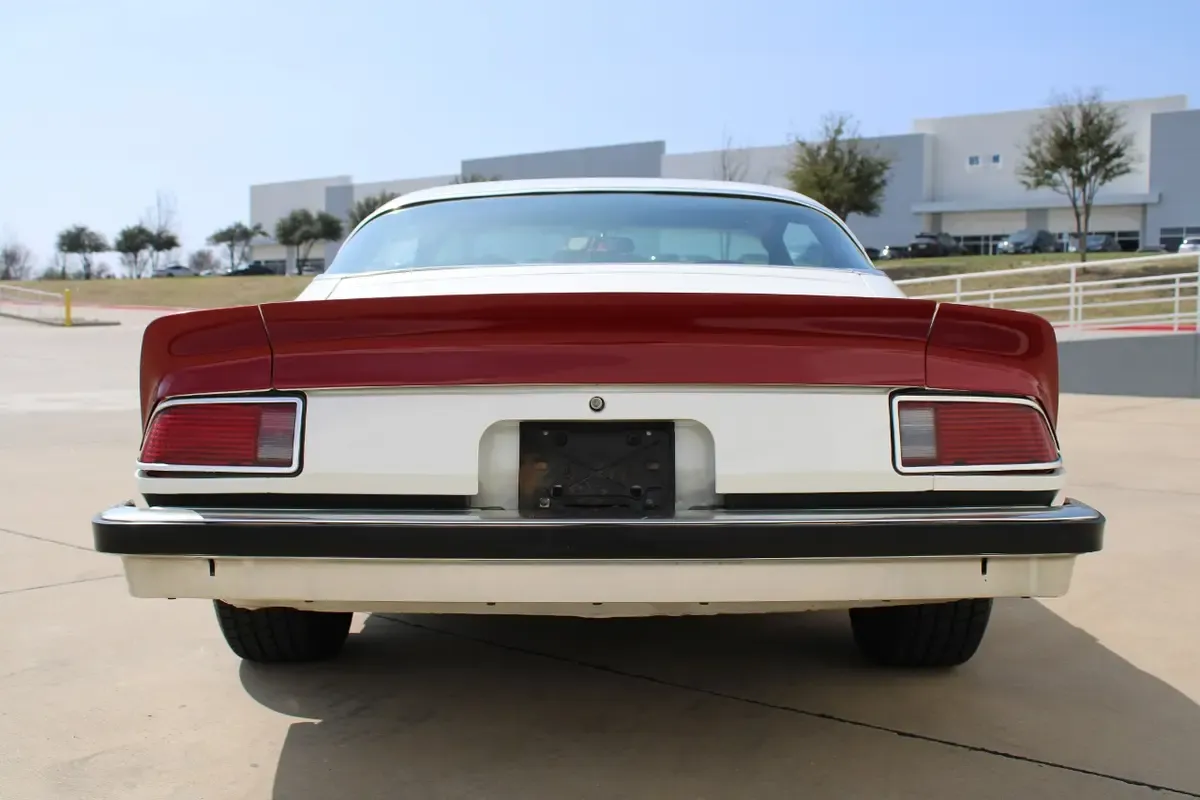 Carousel Image 5