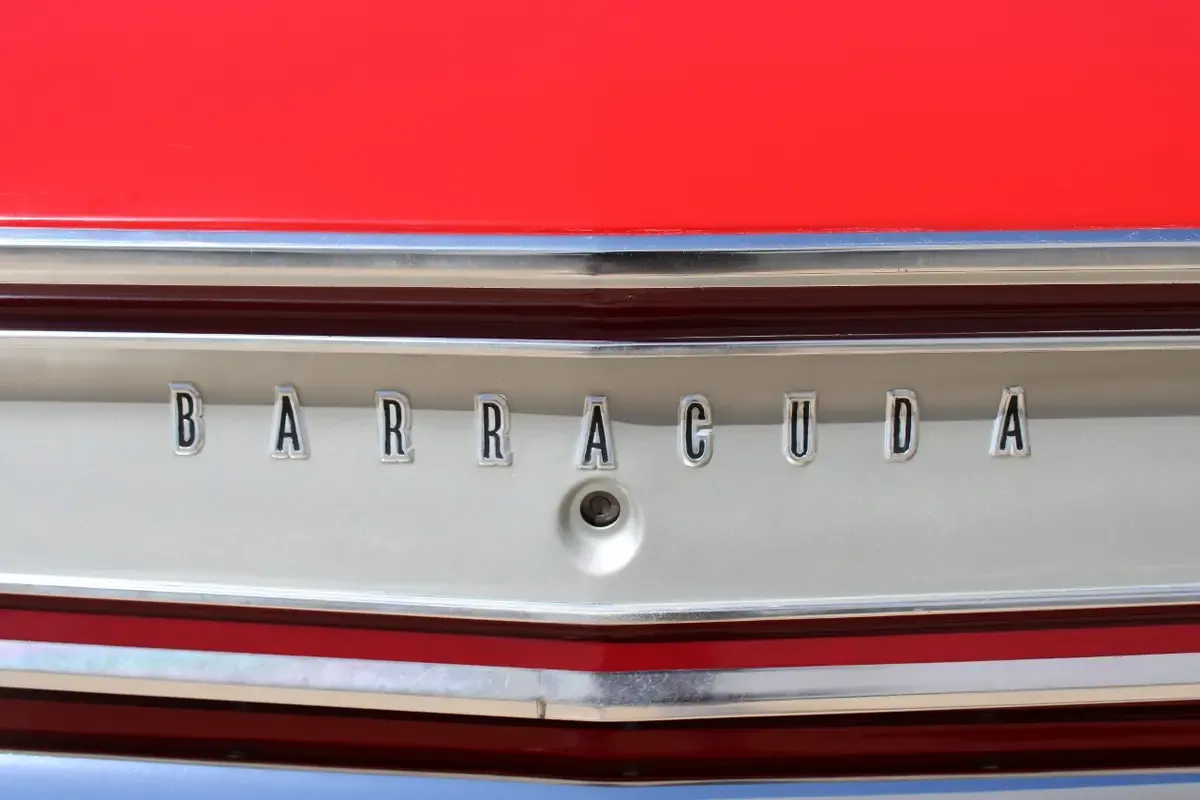 Carousel Image 14