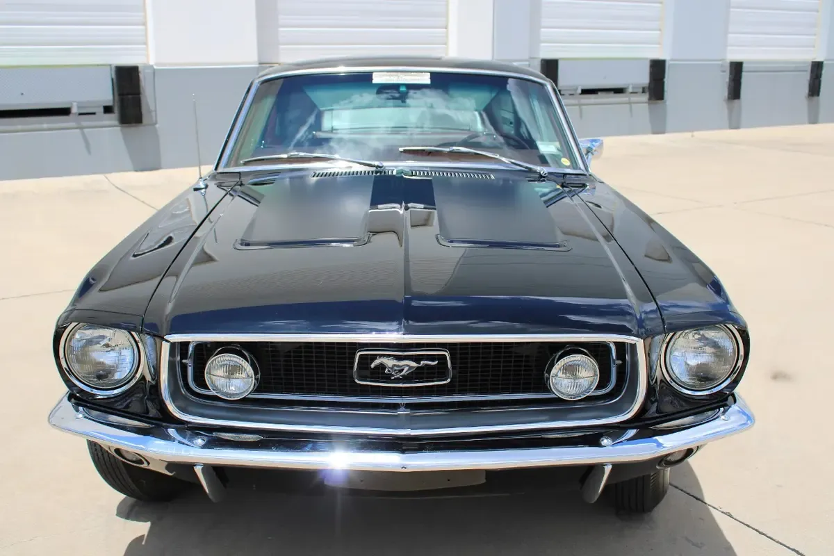 Carousel Image 8