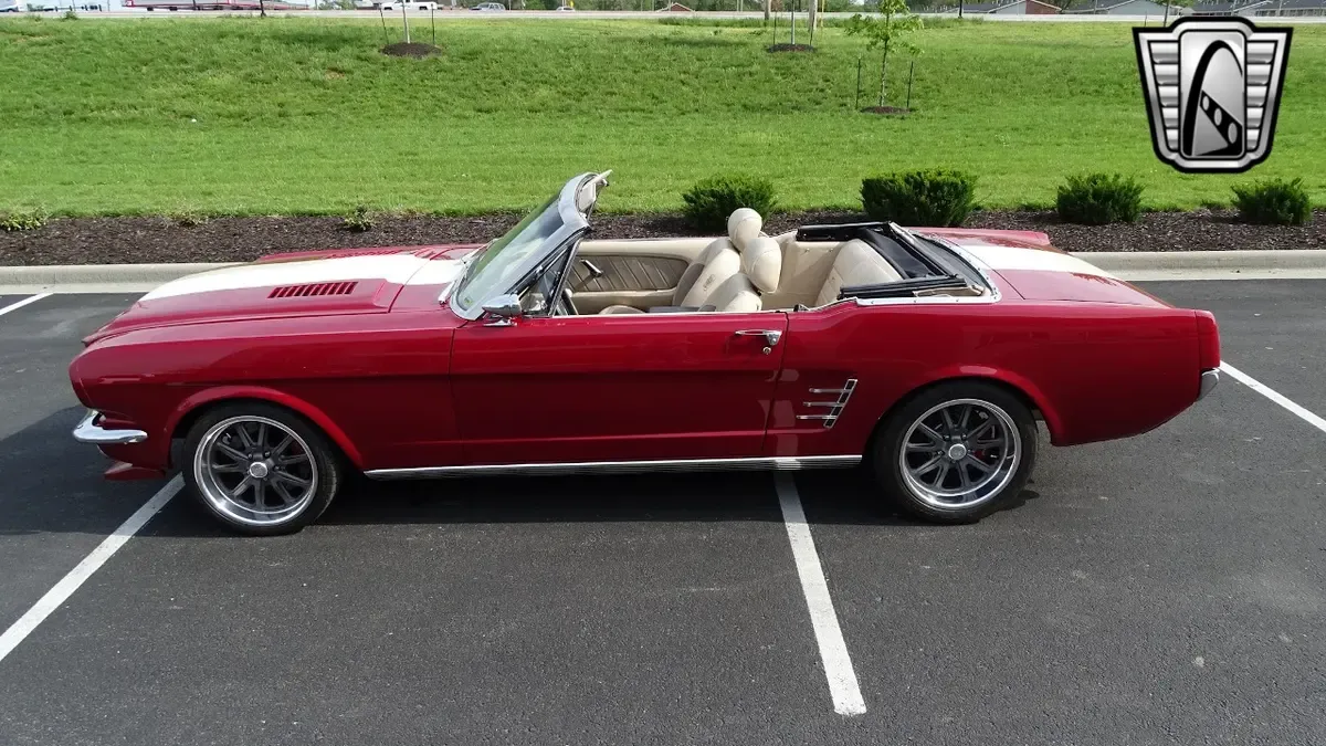 Carousel Image 7