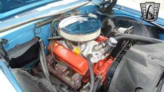  20