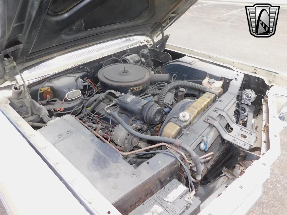 Carousel Image 23