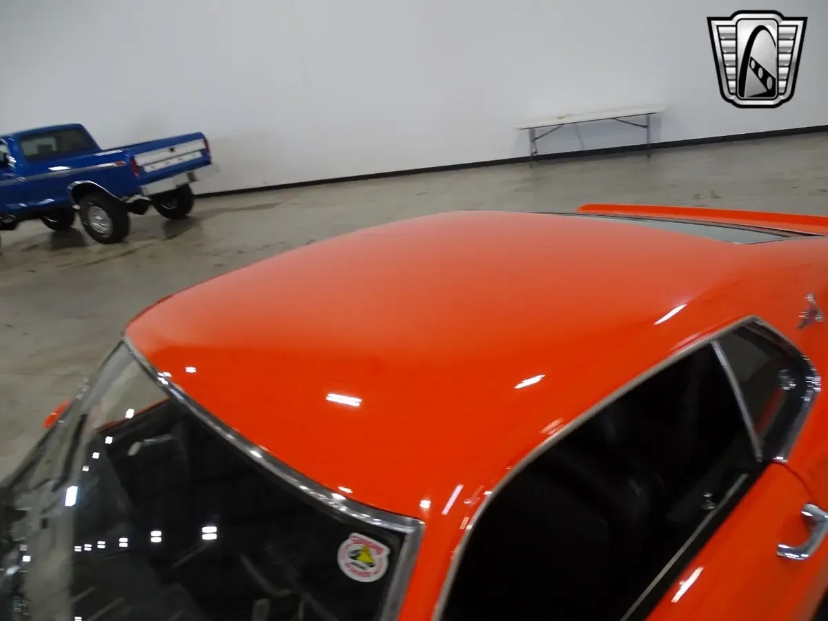 Carousel Image 13